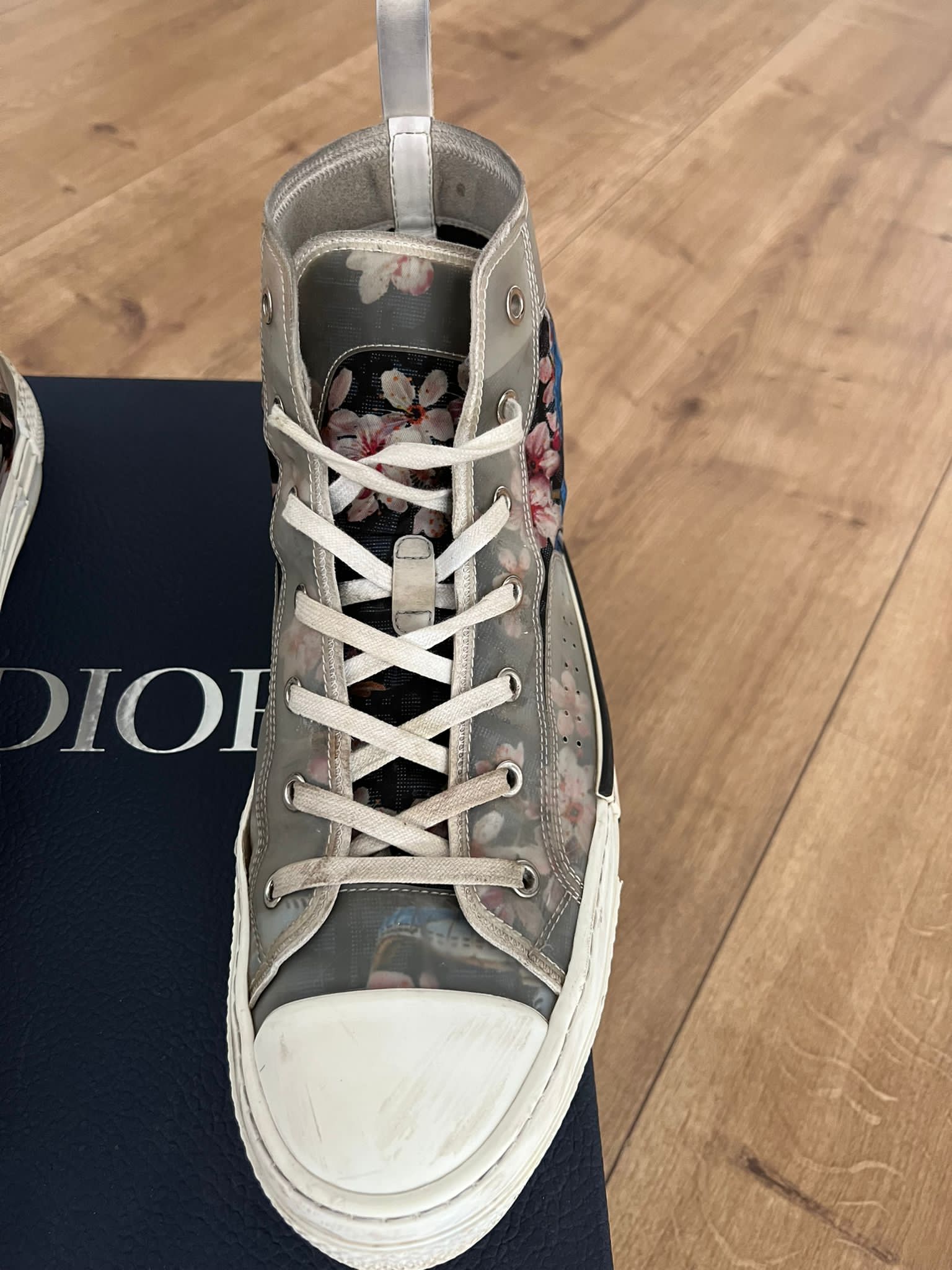 dior b23 dinosaur