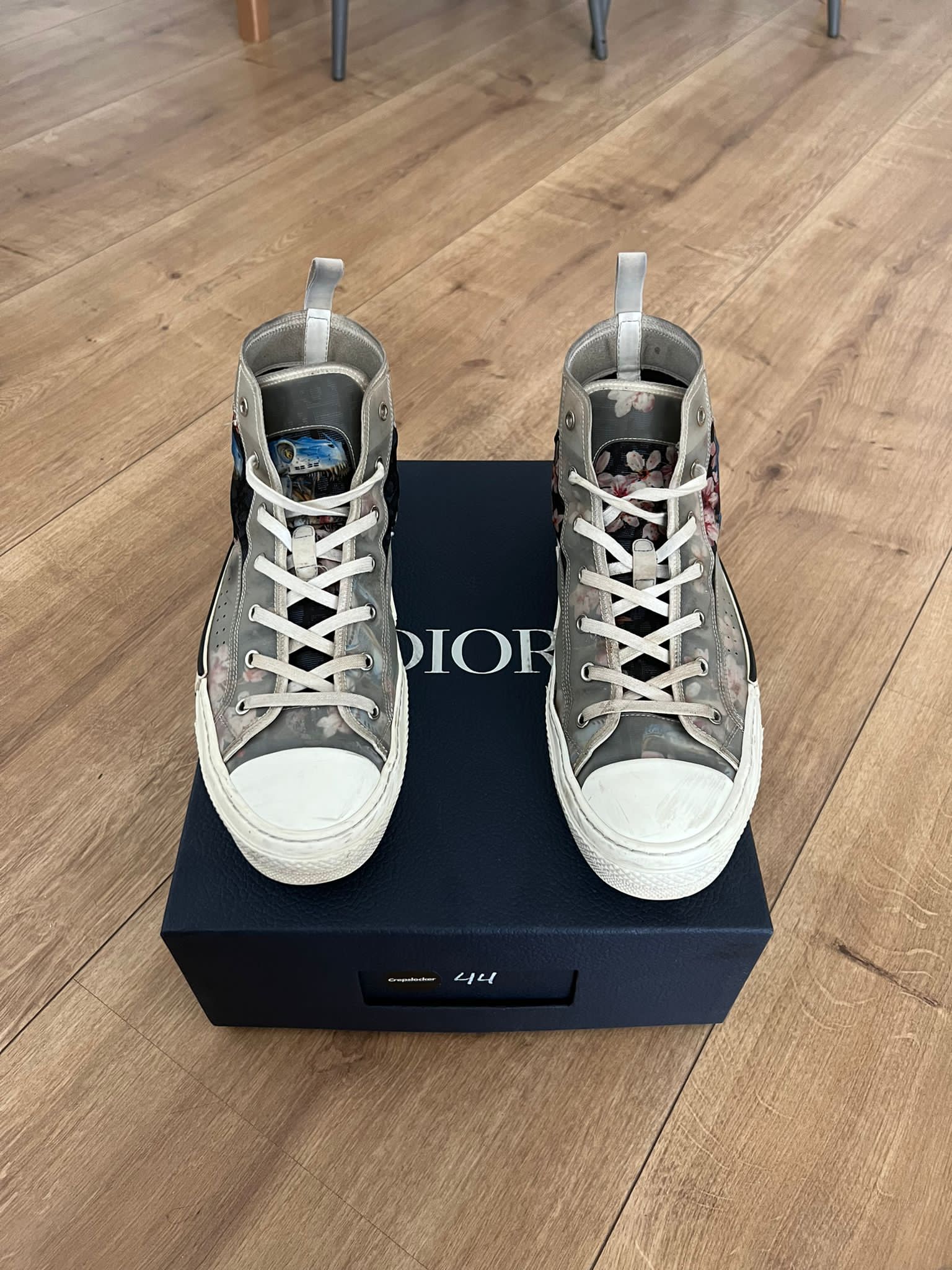 dior b23 dinosaur
