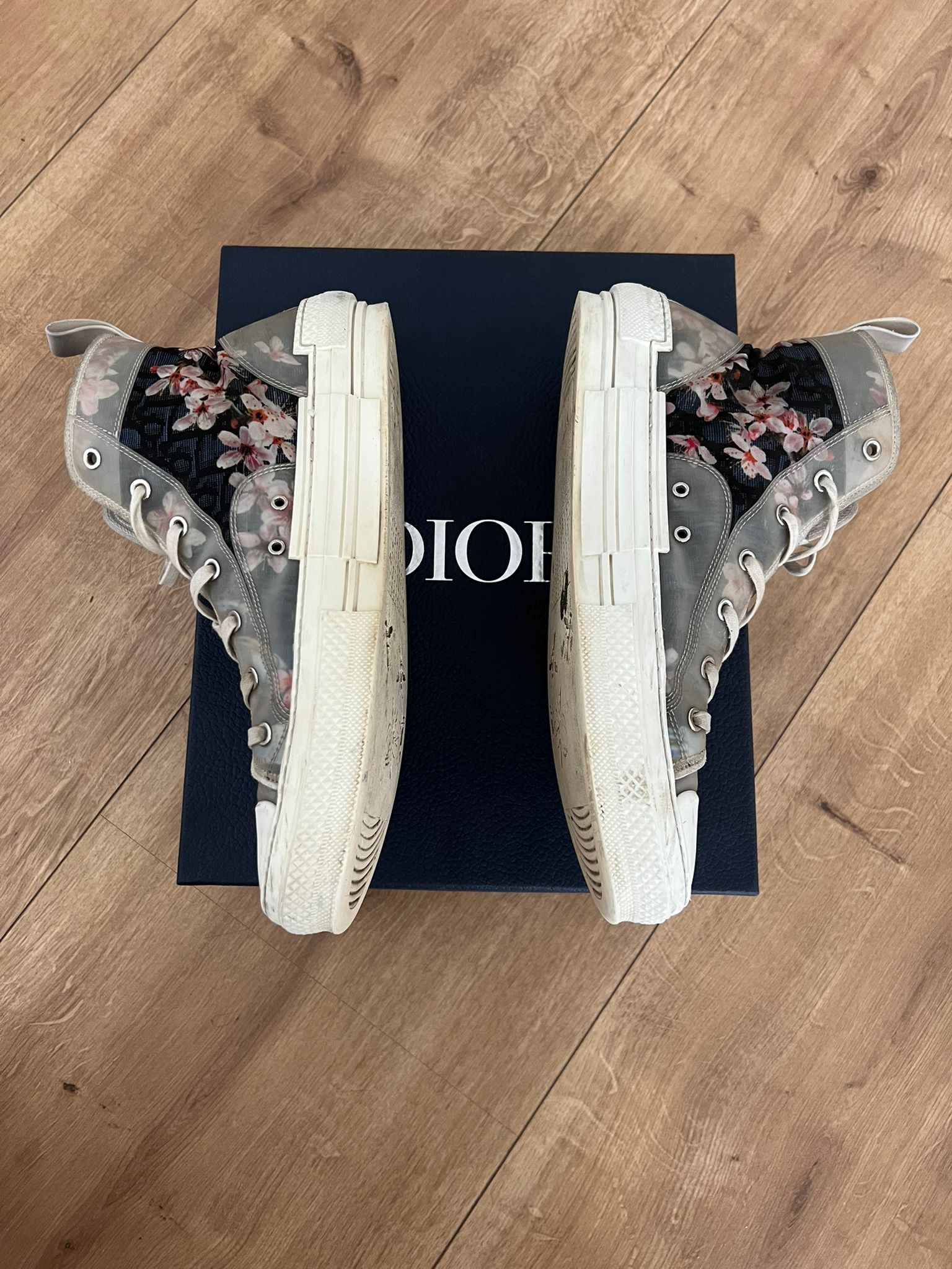 dior b23 dinosaur