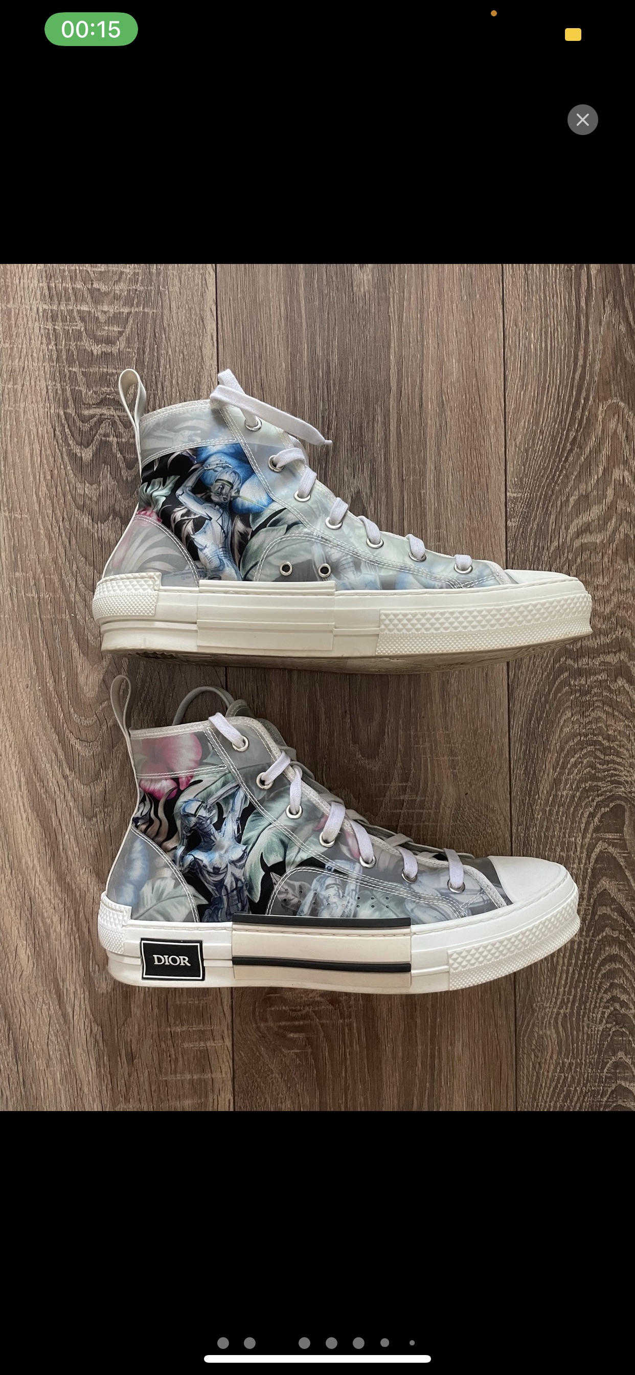 dior b23 dinosaur